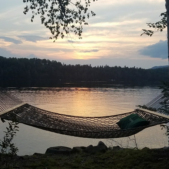 Meet your Posher, Mia - Picture 1 of 1